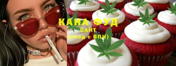 прущие грибы Гусиноозёрск