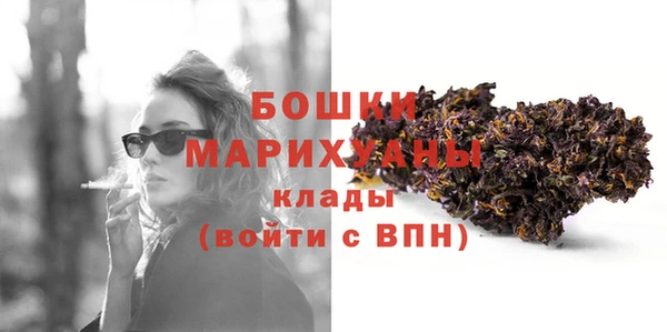 прущие грибы Гусиноозёрск