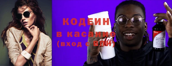 прущие грибы Гусиноозёрск