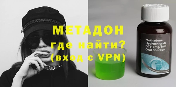 прущие грибы Гусиноозёрск