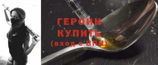 прущие грибы Гусиноозёрск