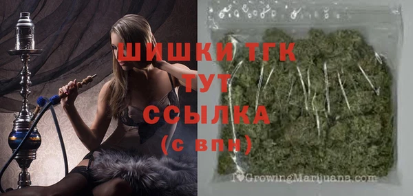 прущие грибы Гусиноозёрск