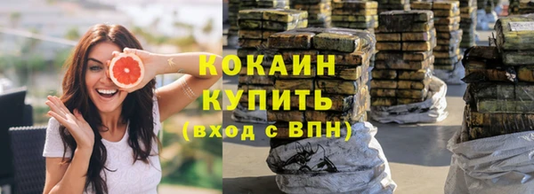 прущие грибы Гусиноозёрск