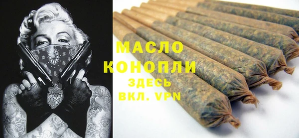 прущие грибы Гусиноозёрск
