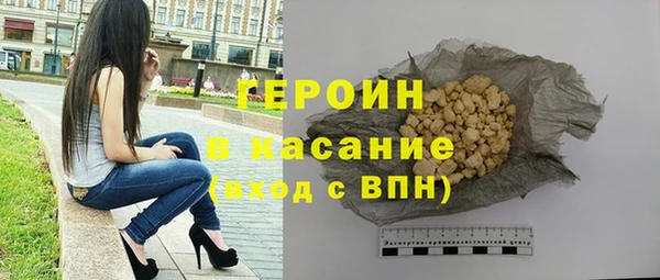 прущие грибы Гусиноозёрск