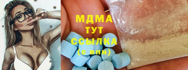 прущие грибы Гусиноозёрск