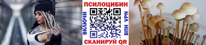 Купить где  Вятские Поляны  Псилоцибиновые грибы прущие грибы 
